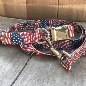 1 inch wide American Flag Dog Collar and Leash Set, Patriotic USA, Metal Hardware