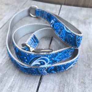 Blue Paisley Dog Leash, Nylon Webbing, 1 inch wide, Handmade in USA