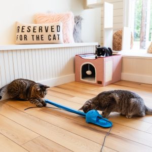 MaxPlay Sidewinder Smart Cat Toy ?C Motion Activated Indoor Play Enrichment (USB Powered)