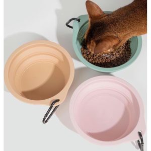 Collapsible Silicone Pet Travel Bowl: Lightweight 600ml Capacity