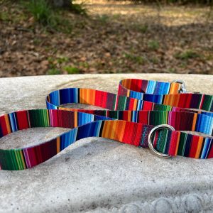4 Foot or 6 Foot or 8 Foot Dog Leash, Bold Striped Dog Leash, Traffic Leash, 4 foot leash, 6 foot leash, 6 foot leash for dogs