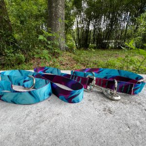 1 inch wide Purple & Teal Martingale Dog Collar and Leash Set: USA Made