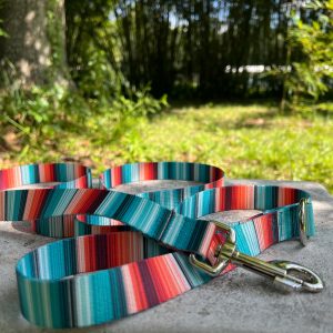 Teal & Orange Striped Dog Leash: USA Made Polyester, Traffic Lead Option