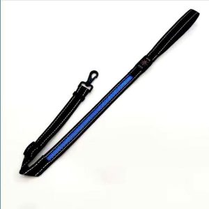 Light Up Leash