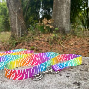 4 Foot or 6 Foot or 8 Foot Dog Leash, Neon Rainbow Zebra Dog Leash, Traffic Leash, 4 foot leash, 6 foot leash, 6 foot leash for dogs