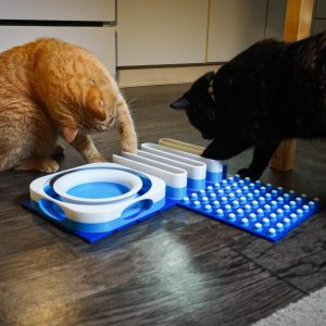 Snap-Cat Starter Kit