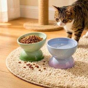 Elevated Ceramic Cat Bowl Raised Pet Feeder, Whisker Friendly, High Temp Ceramic