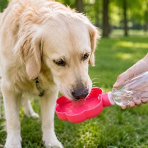 Portable Dog Water Bowl Attachment | Paw Shaped Pet Water Dispenser | Travel Dog Bowl | 3D Printed Pet Water Bottle Accessory